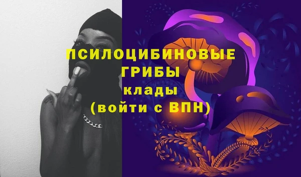 гидра Осинники
