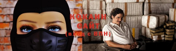 гидра Осинники