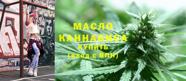 гидра Осинники