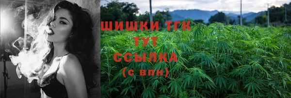гидра Осинники