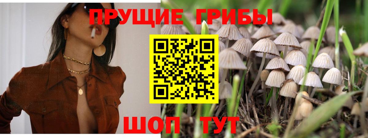 Псилоцибиновые грибы ЛСД  где купить наркоту  Псилоцибиновые грибы мицелий  Рославль  Вход с VPN 